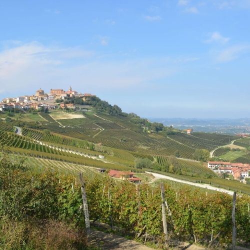 Piedmont Wine Tours – Langhe Wine Region